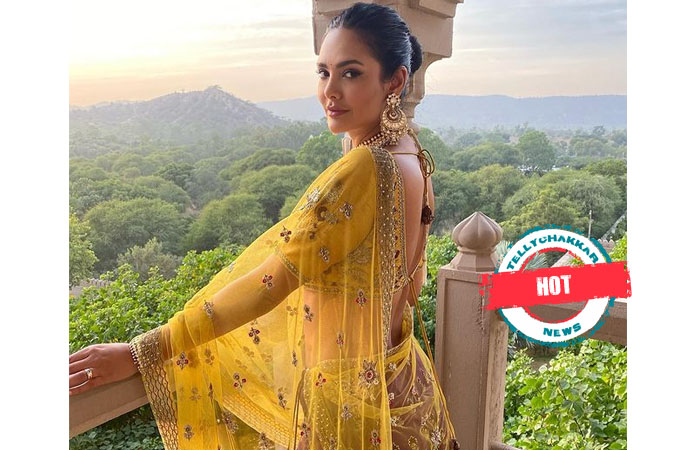 Hot Esha Gupta Flaunts Her Curves In This Sun Kissing Picture