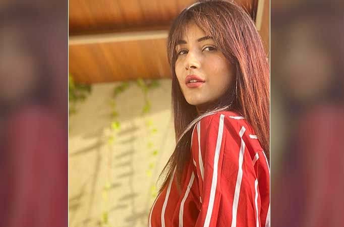 Know All About Bigg Boss 13 Fame Shehnaaz Gill's Sunday Cheat Meal