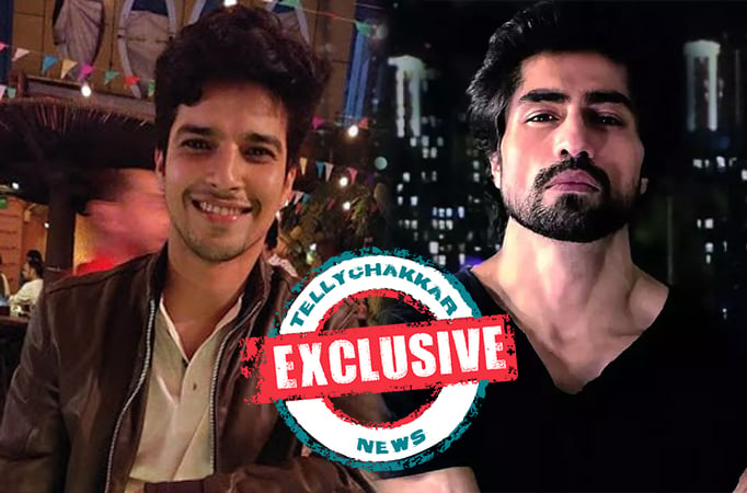 EXCLUSIVE! 'Harshad is like my elder brother even offscreens', Neil aka ...