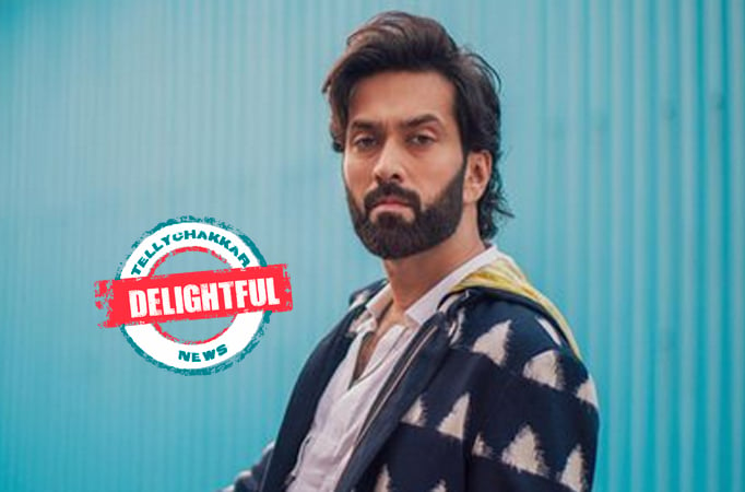 DELIGHTFUL! Meet Bade Achhe Lagte Hain 2 fame Nakuul Mehta's real-life ...