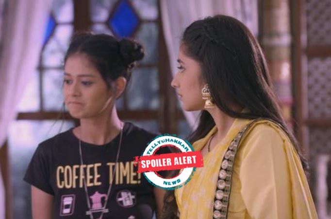 Guddan Tumse Na Ho Payega: Guddan lands in a problem over Alisha's silly game