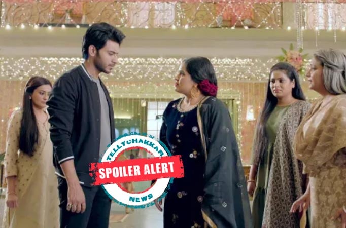 Yeh Jaadu Hai Jinn Ka: Roshni to shield Aman and his family