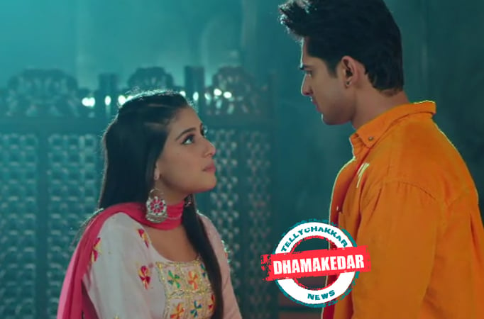 Udaariyaan: DHAMAKEDAR! Jasmine traps Amrik in her DEVIOUS PLAN 