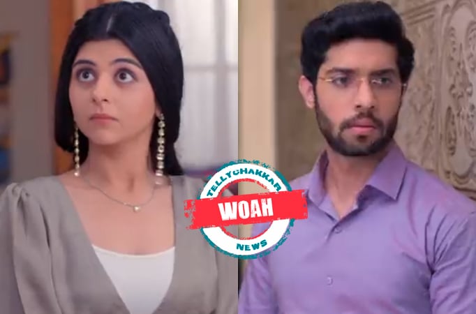 Kabhi Kabhie Ittefaq Sey: Woah! Gungun stands against her boyfriend to defend Anubhav