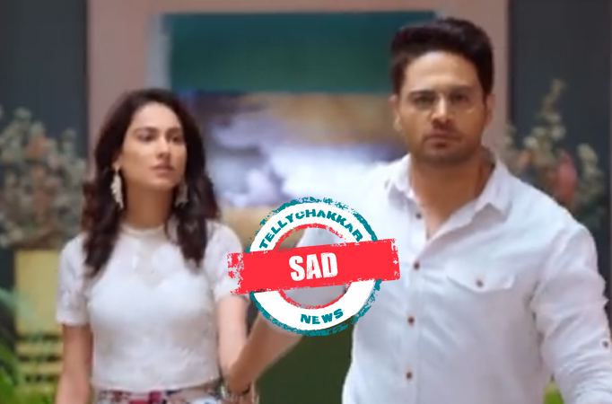 Anupama: SAD! Anuj and Malvika part ways