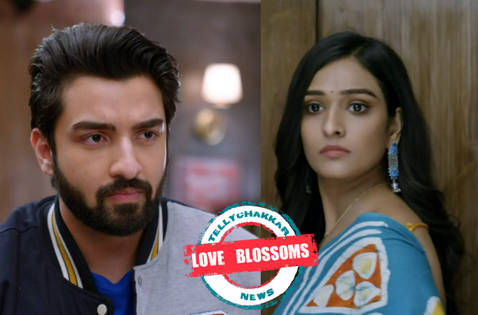 Bhagya Lakshmi: Love Blooms! Rishi teases a jealous Lakshmi, they end up getting an romantic moment