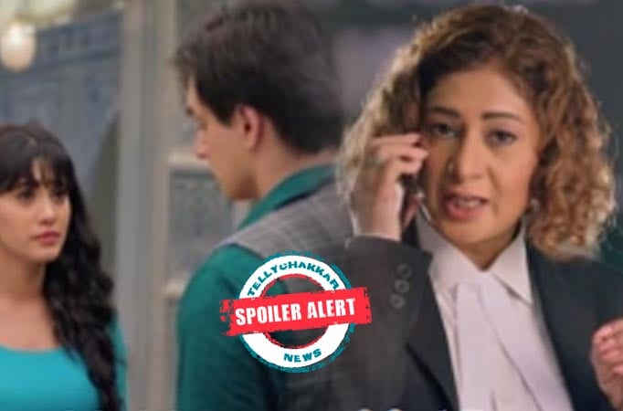 Yeh Rishta Kya Kehlata Hai: Damini’s dirty game plan creates a never-ending crack between Naira and Kartik!