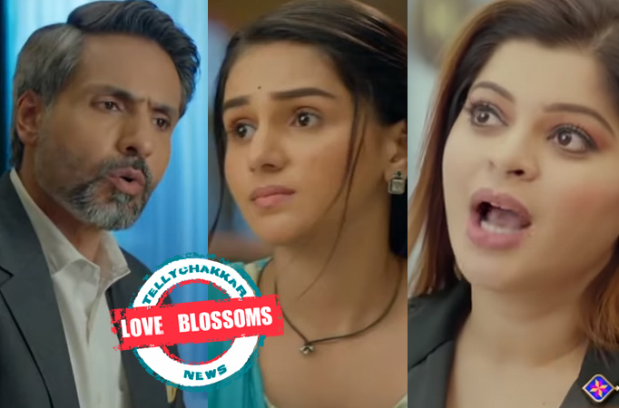 Na Umr Ki Seema Ho: Love Blossoms! Dev and Vidhi go on a coffee date, Amba irks with jealousy