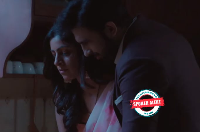 Yeh Jhuki jhuki Si Nazar: Right On Time! Diya close to the clue, Armaan stops her from checking his laptop