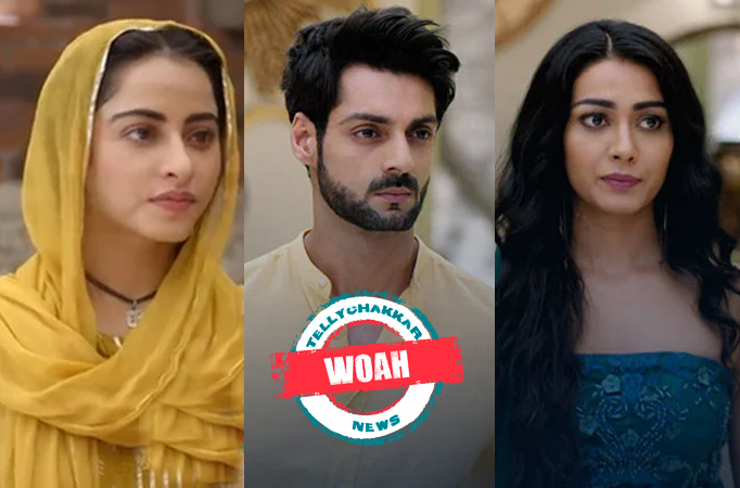 Channa Mereya: Whoa! Aditya’s life partner to be introduced to media, Ginni has an ultimatum to expose Sam