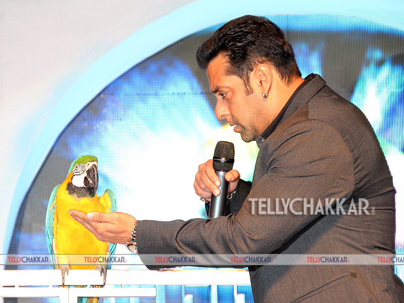 Salman Khan