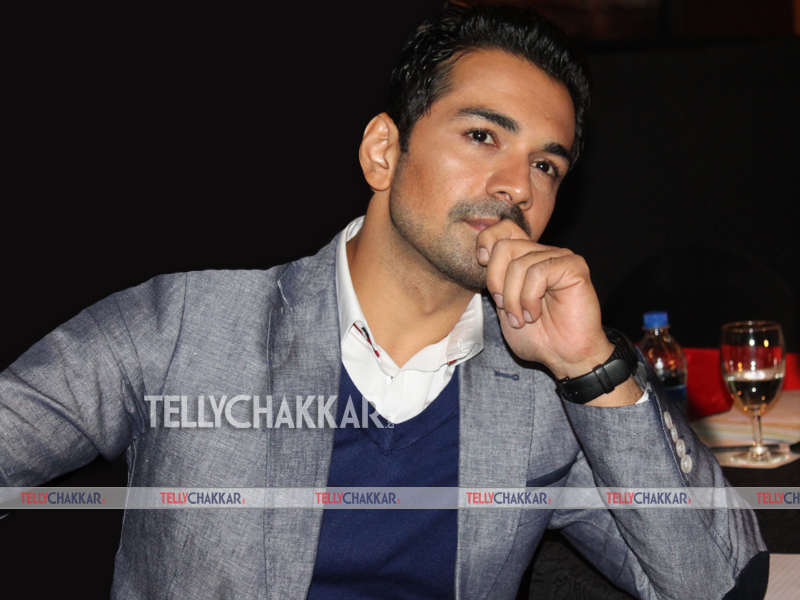 Abhinav Shukla as Anirudh