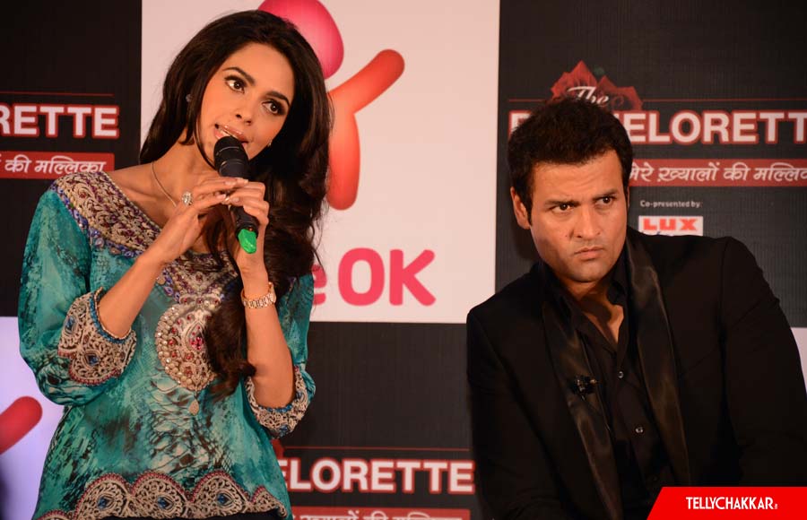 Mallika Sherawat And Rohit Roy