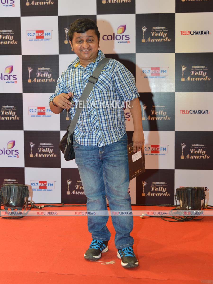 13th Indian Telly Awards