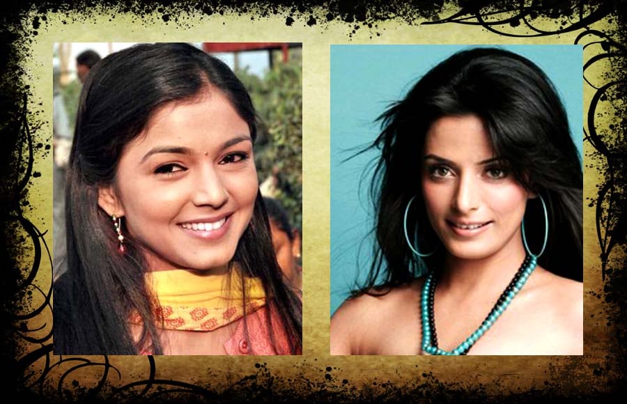 Pooja Shama (Ruk Jaana Nahin) and Pooja Sharma (Mahabharat) 