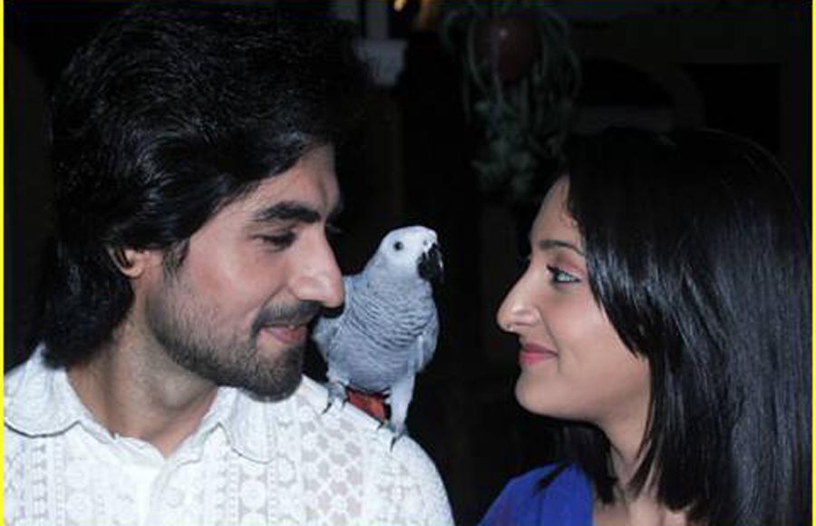 Humsafars (Sony TV)