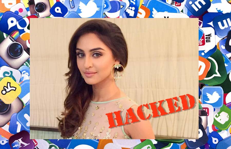 Krystle Dsouza's Twitter account got hacked