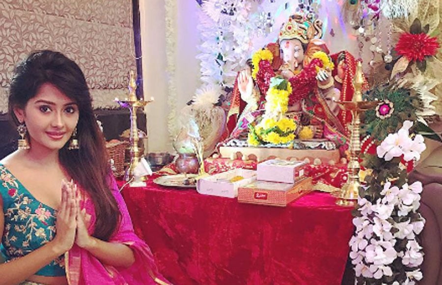 TV celebs with Ganpati 