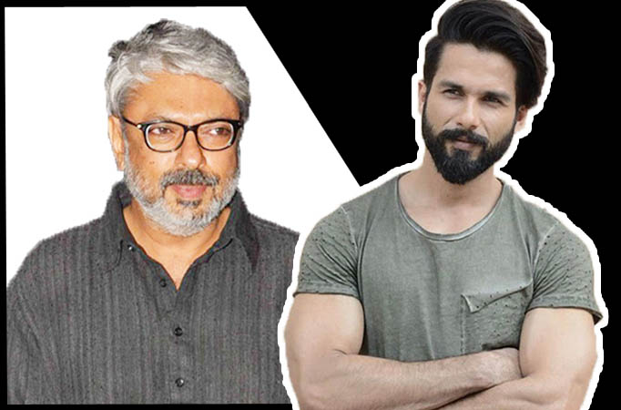 Working with Bhansali has been a privilege, says Shahid