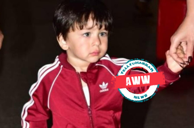 Taimur Ali Khan