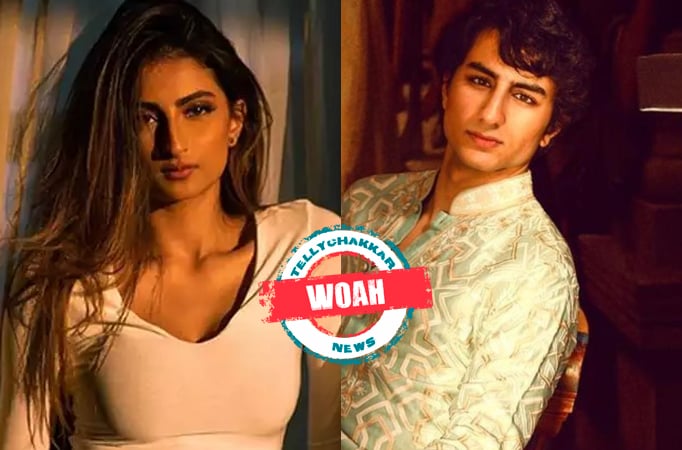 WOAH: Bijlee Bijlee fame Palak Tiwari and Ibrahim Ali Khan are the new couple in B-Town?