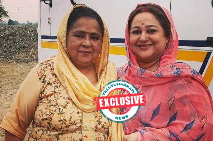 Exclusive! Haseen Dilruba and Sui Dhaaga actress Yamini Das roped in for Babli Bouncer