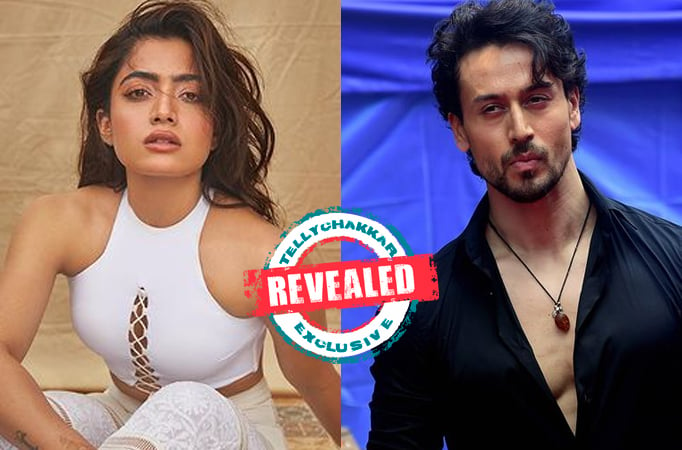 Revealed! This is what Pushpa actress Rashmika Mandanna has to say about her new upcoming project with Tiger shroff