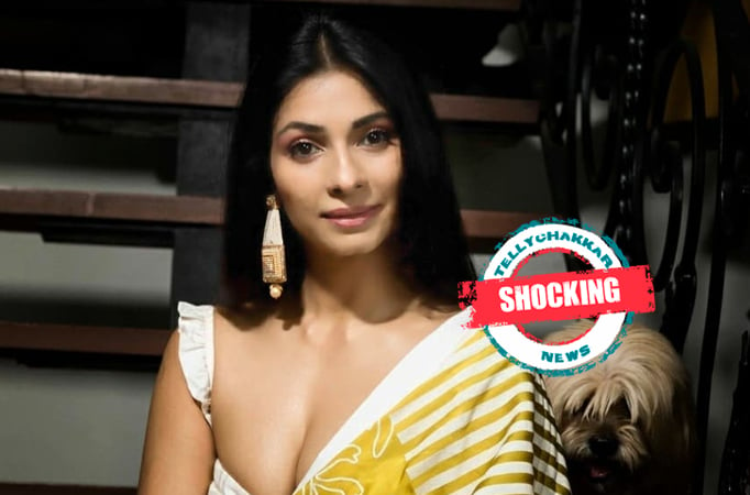 Shocking! "Puja Mein Aaye Ho Ya fashion show me" Netizens rolls Tanishaa Mukerji on her dressing as she was seen in Durga Pandal