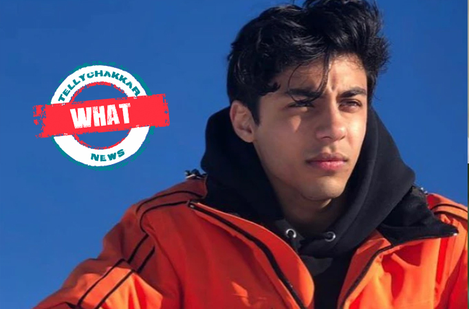 What! Aryan Khan might have been singled out in the drug case