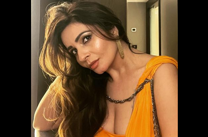 Here are the times Rab Ne Bana Di Jodi and Dil Bole Hadippa actress Shonali Nagrani raised temperature with her hotness 