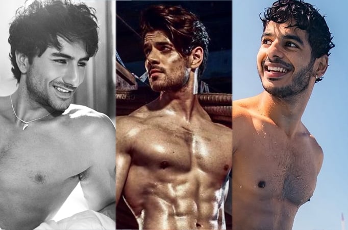 Ibrahim Ali Khan, Sooraj Pancholi