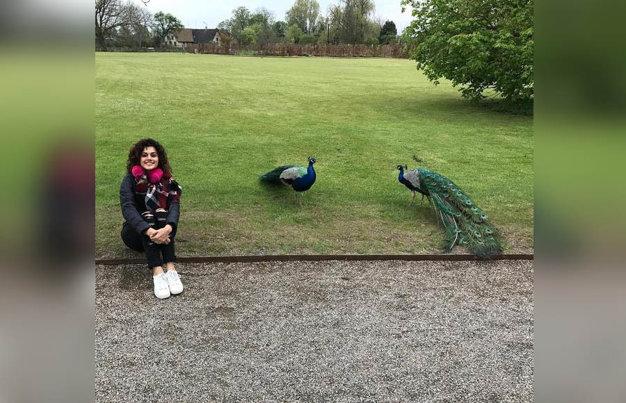 Peacock Party!