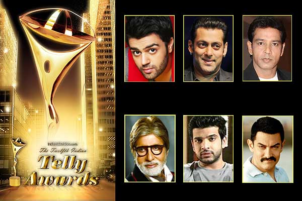 Twelfth Indian Telly Awards 