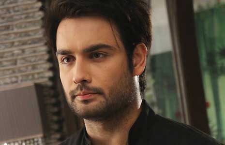 Vivian Dsena