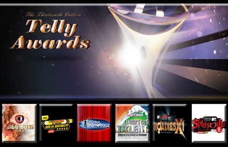 Best Reality Show at the 13th Indian Telly Awards