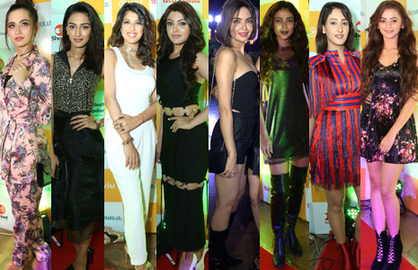 Which TV actress was too hot to handle at the TellyChakkar's 13th B'day bash?