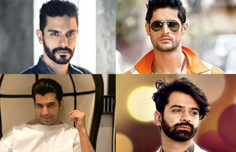 Angad Bedi, Mohit Raina, Sharad Malhotra, Barun Sobti