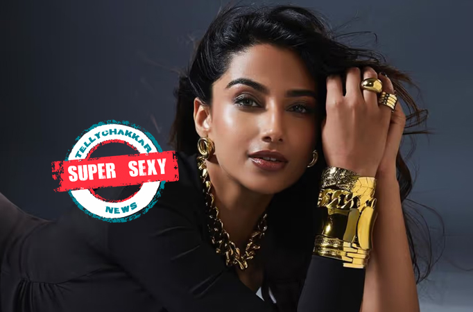 Meenakshi Chaudhary Meenakshi Chaudhary