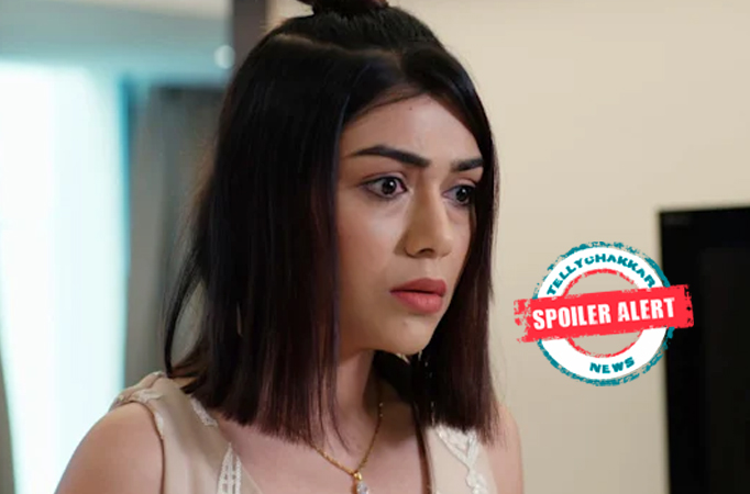 Spoiler Alert! Pandya Store: The Pandyas are upto something; is Shweta alerted of the plan?