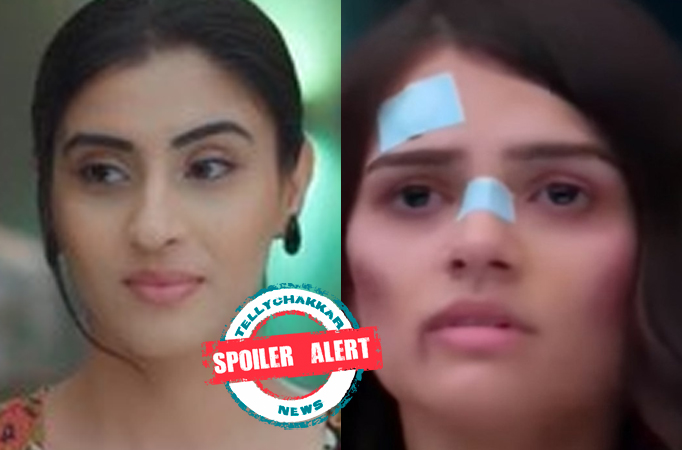 Spoiler Alert! Anupamaa: Barkha helps Dimple fight her case