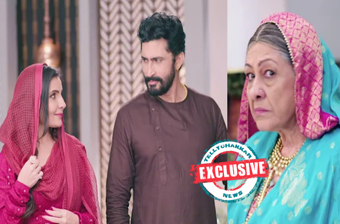 Exclusive! Ajooni: Shikha and Harvinder's turbulent marriage makes Dadi lash out