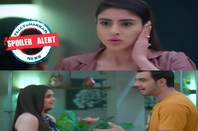 Spoiler Alert! Anupamaa:  Barkha’s plan to get rid of Pakhi from Adhik’s life