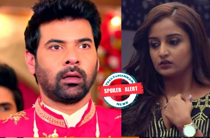 Spoiler Alert! Pyaar Ka Pehla Naam Radha Mohan: Trap set against Damini as Mohan grows suspicious