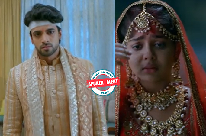 Spoiler Alert! Faltu: Faltu tries to avoid Ayaan; the latter finds out about her condition 