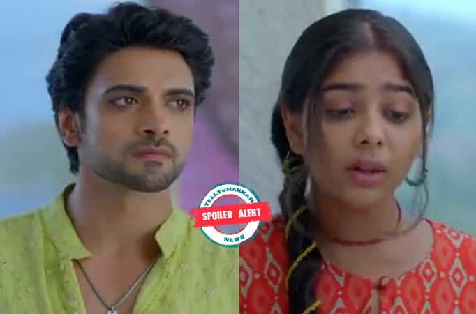 Spoiler Alert! Faltu: Faltu lies to Ayaan about her marriage, the latter feels hurt over her harsh words