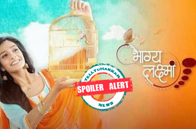 Spoiler Alert! Bhagya Lakshmi: Ayush joins hands with Dadi and Devika to prove Rishi's innocence 