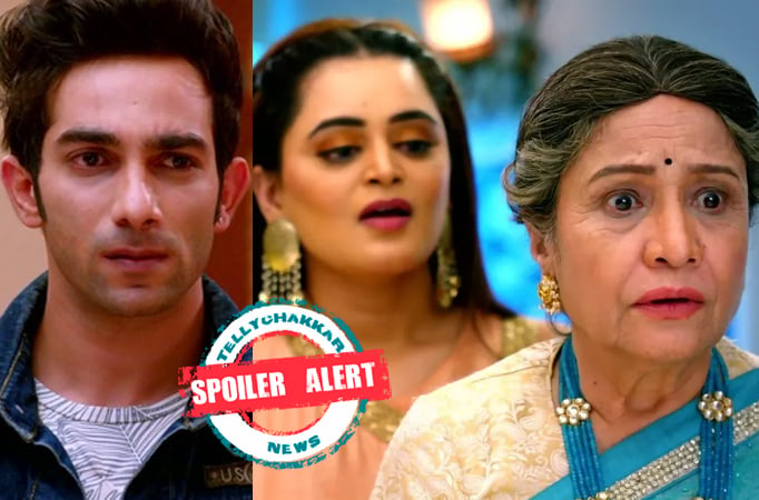 Spoiler Alert! Bhagya Lakshmi: Ayush to get help from Dadi and Devika?