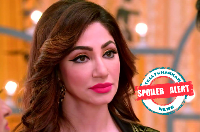 Spoiler Alert! Kumkum Bhagya: Aliya receives a 14 year jail term