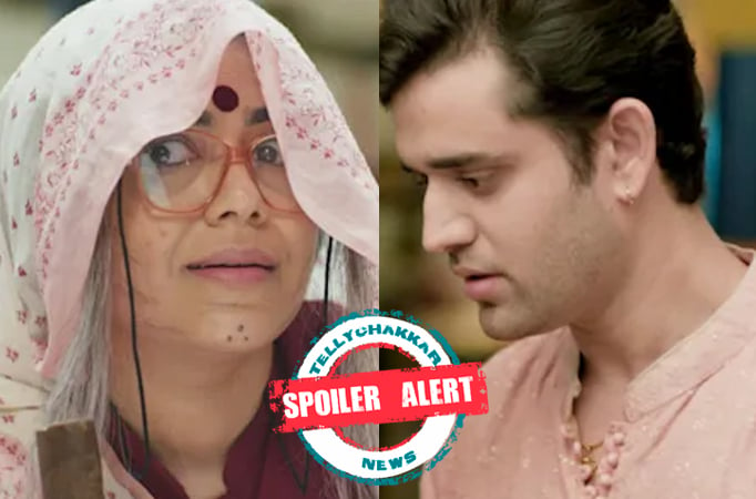 Spoiler Alert! Pandya Store: Shweta refuses to divorce Krish; latter makes a huge sacrifice 