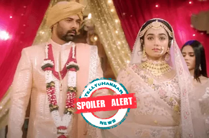 Spoiler Alert! Pyaar Ka Pehla Naam Radha Mohan: Mohan will never accept Radha as his wife, Radha vows to love Mohan forever